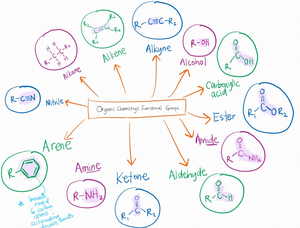organic-chemistry-overview-of-common-functional-groups-kndctutoringsg